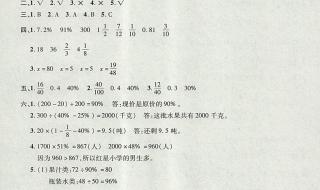 2010年六年级上册的数学周记