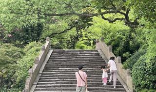 核污水会不会影响下雨